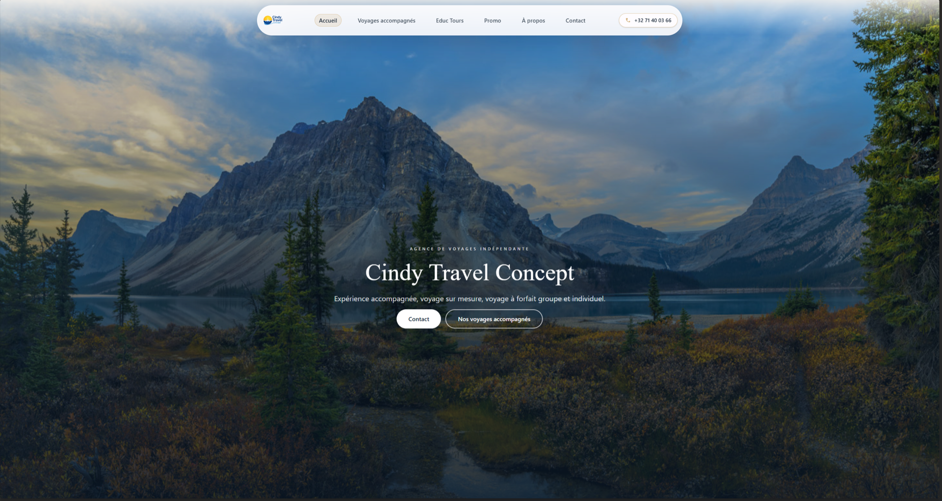 Aperçu du projet Cindy Travel Concept